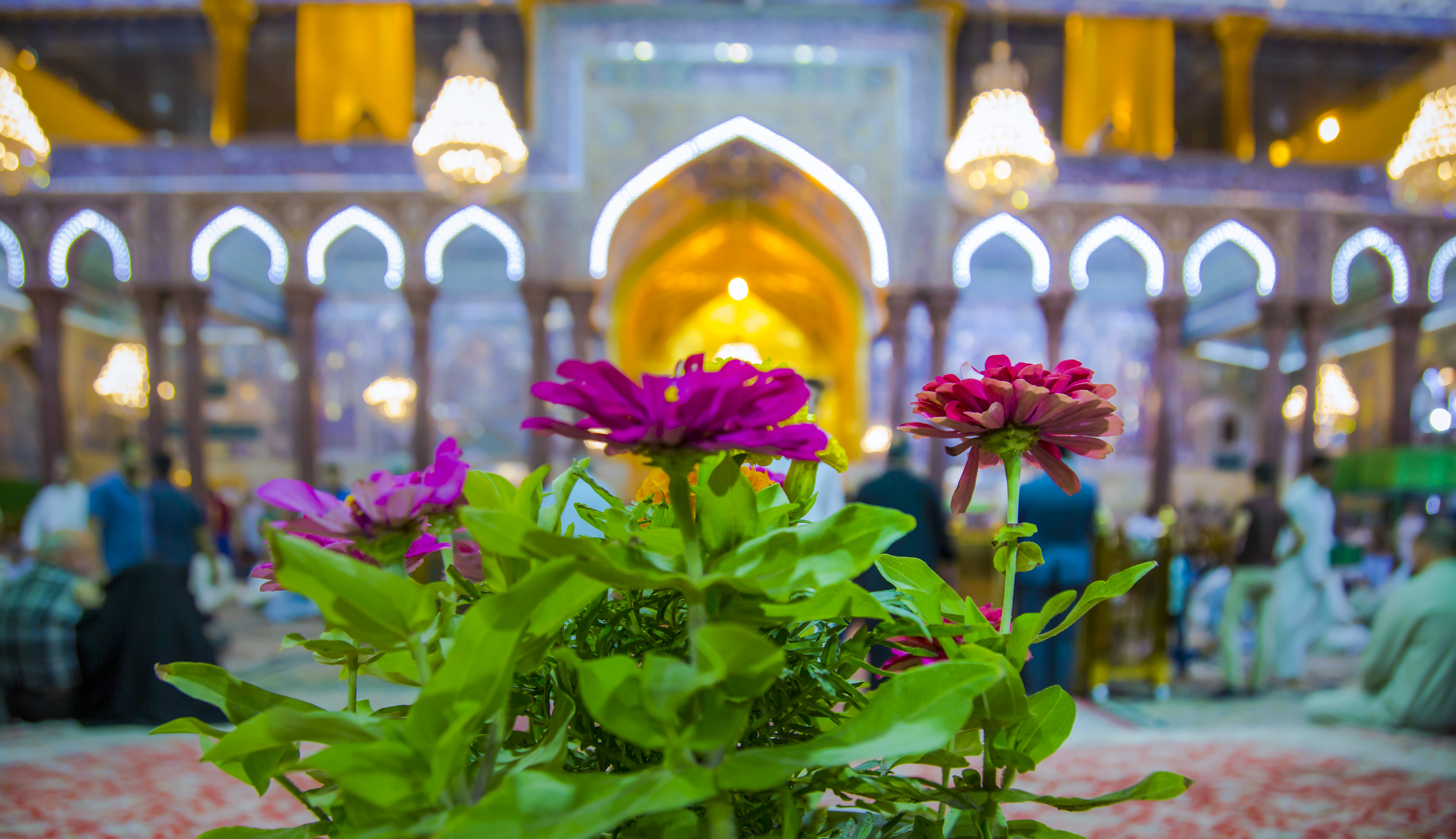 حرم الإمام الحسين (عليه السلام)