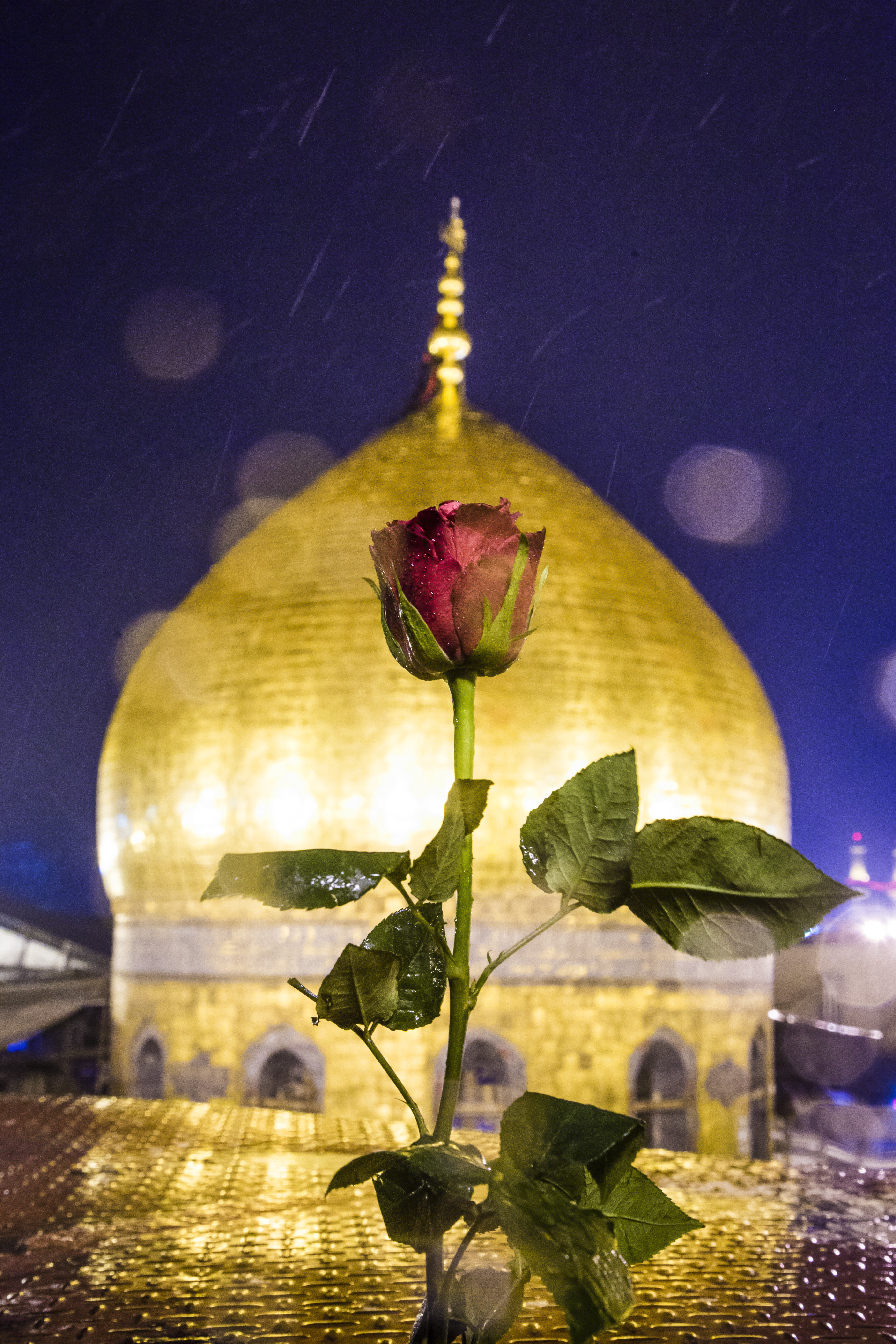 قبة حرم الإمام الحسين (عليه السلام)