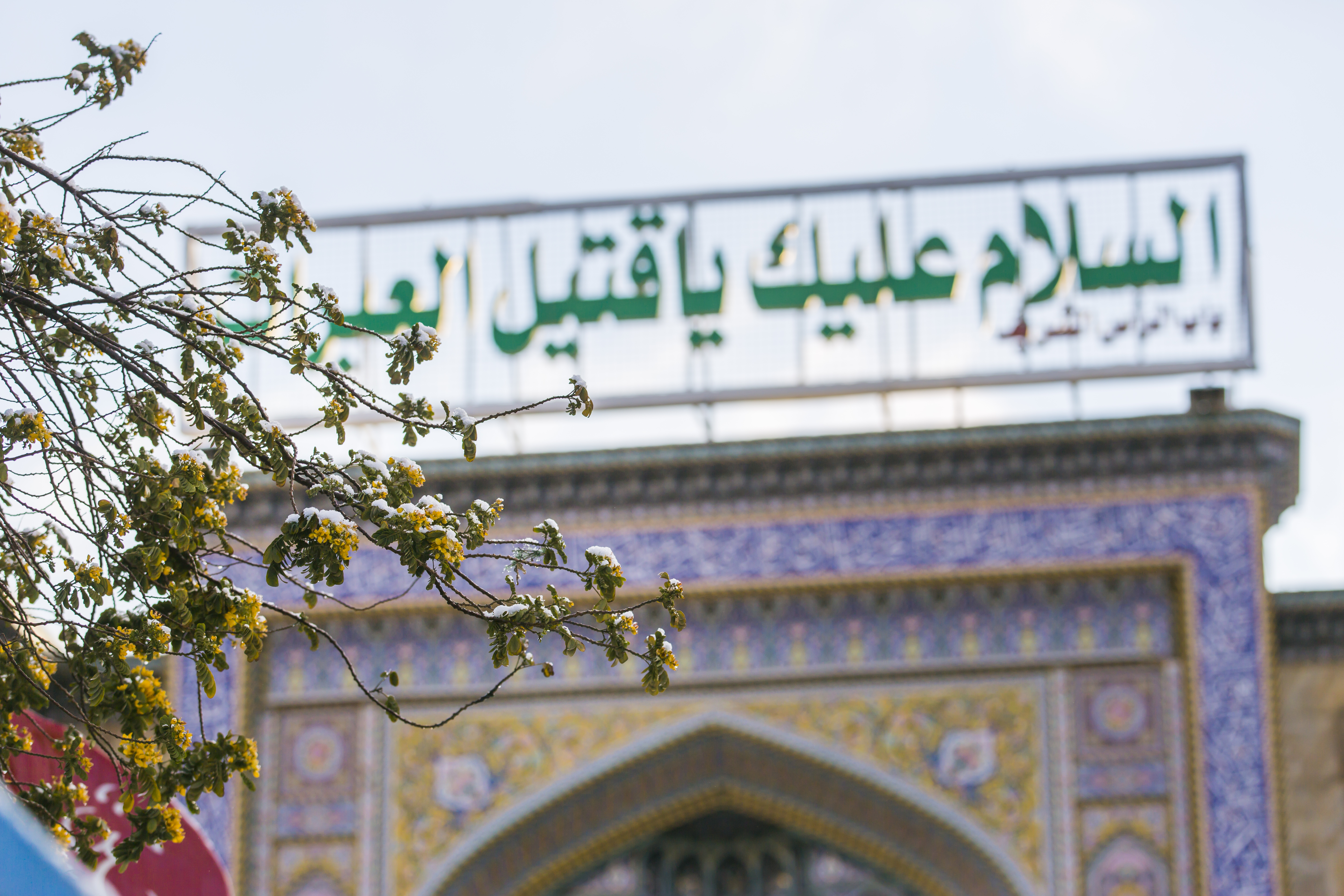 حرم الإمام الحسين (عليه السلام)