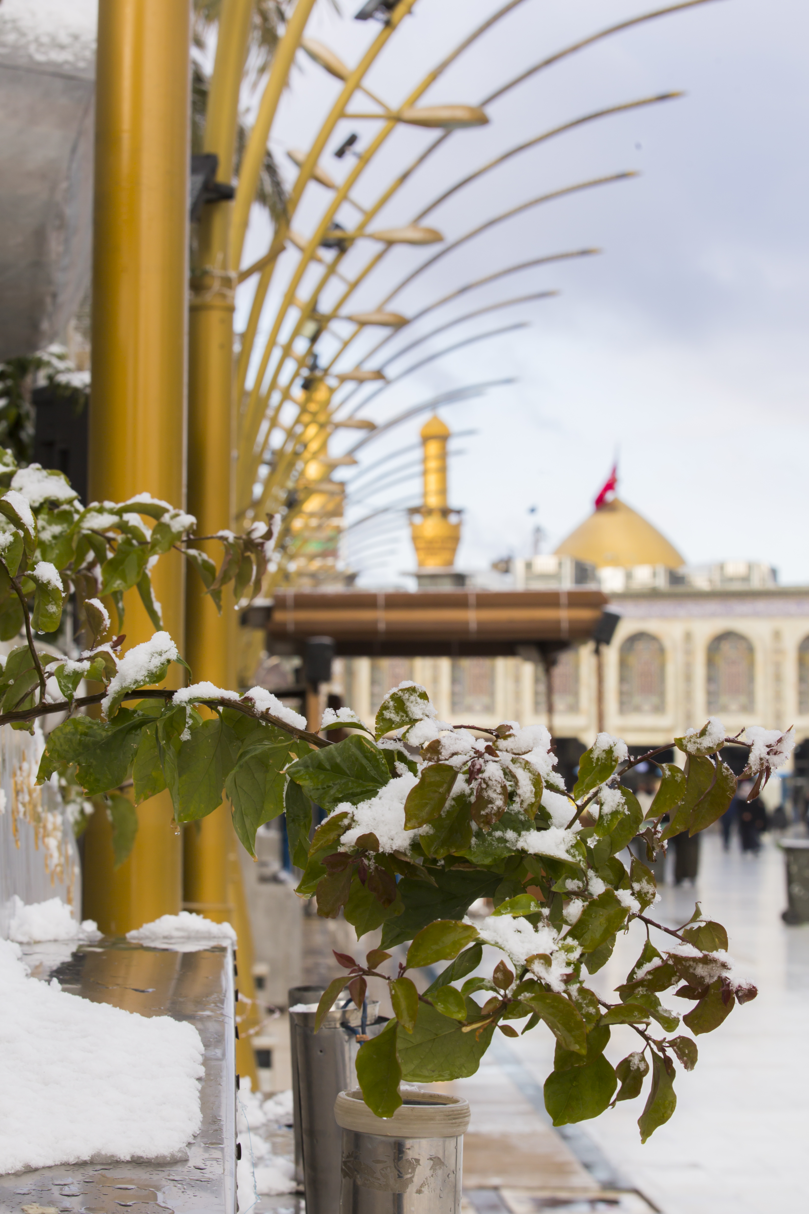 حرم الإمام الحسين (عليه السلام)