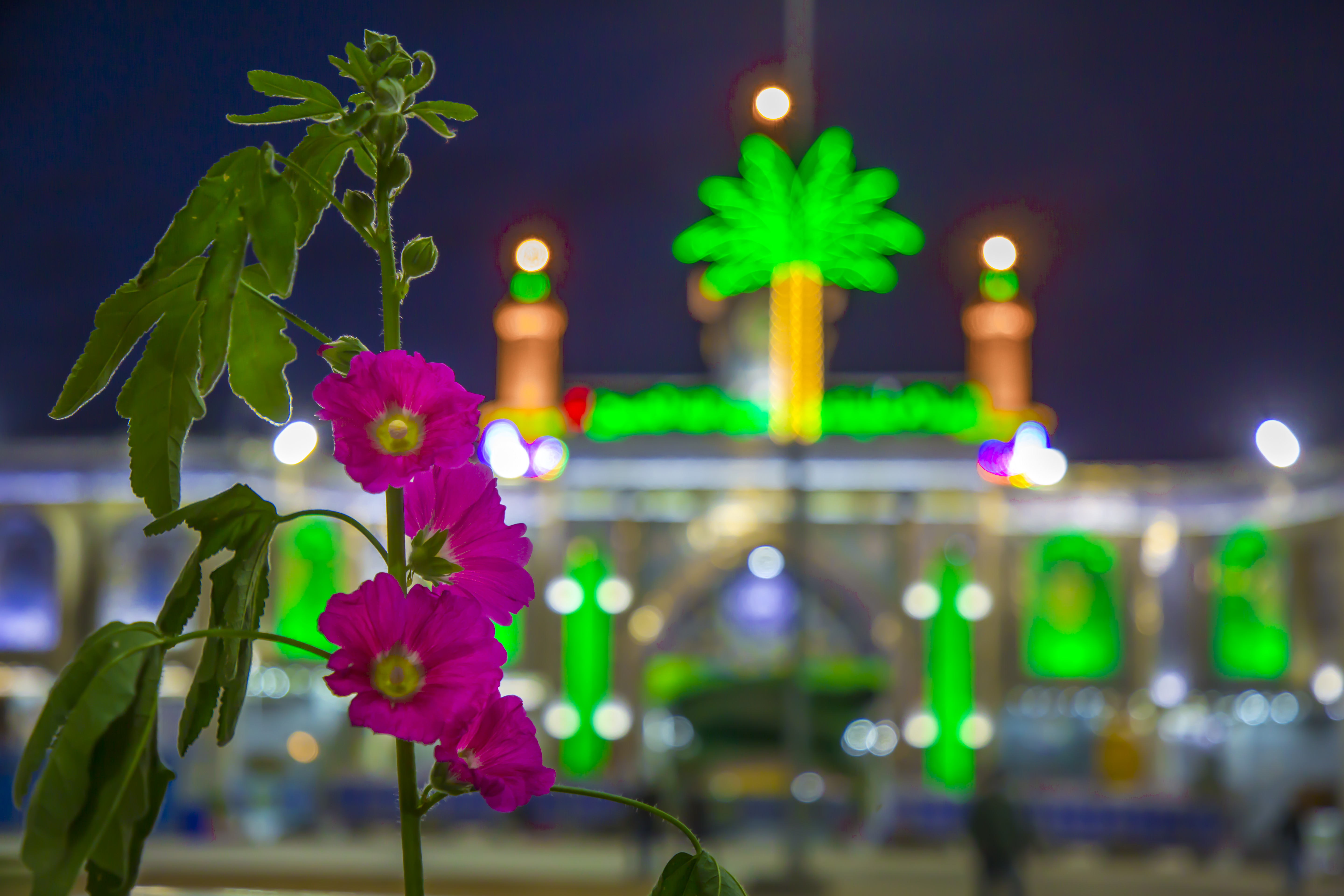 حرم الإمام الحسين (عليه السلام)