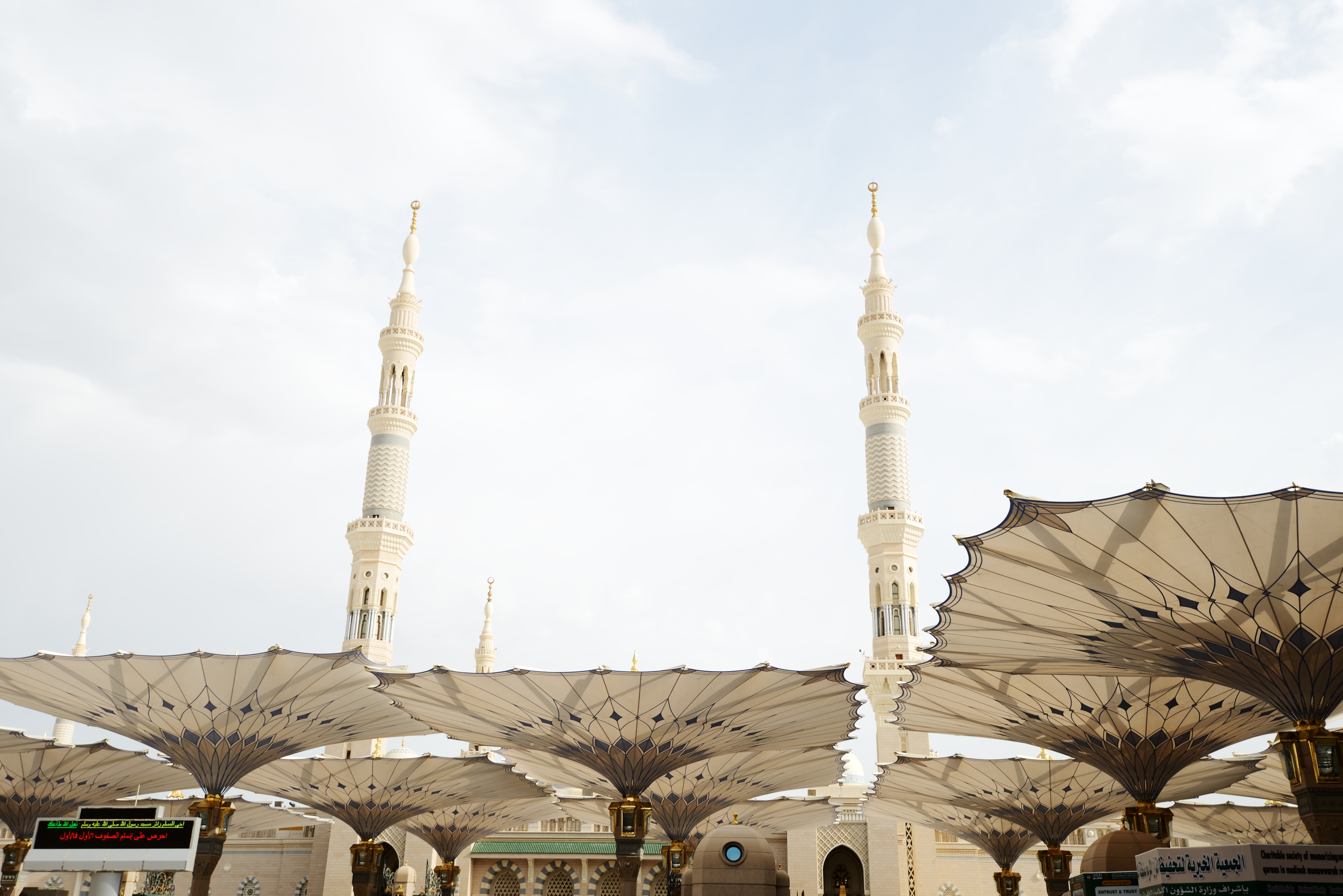 المدينة المنورة