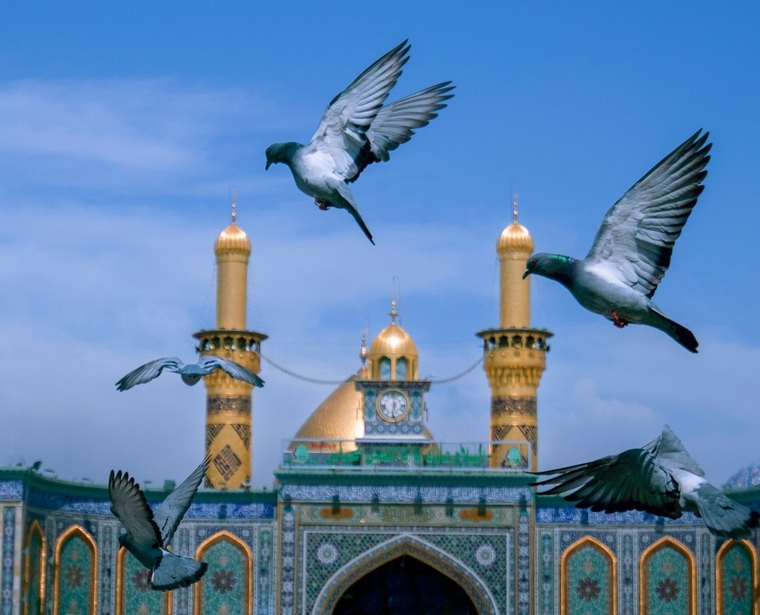 مرقد الامام العباس (عليه السلام))