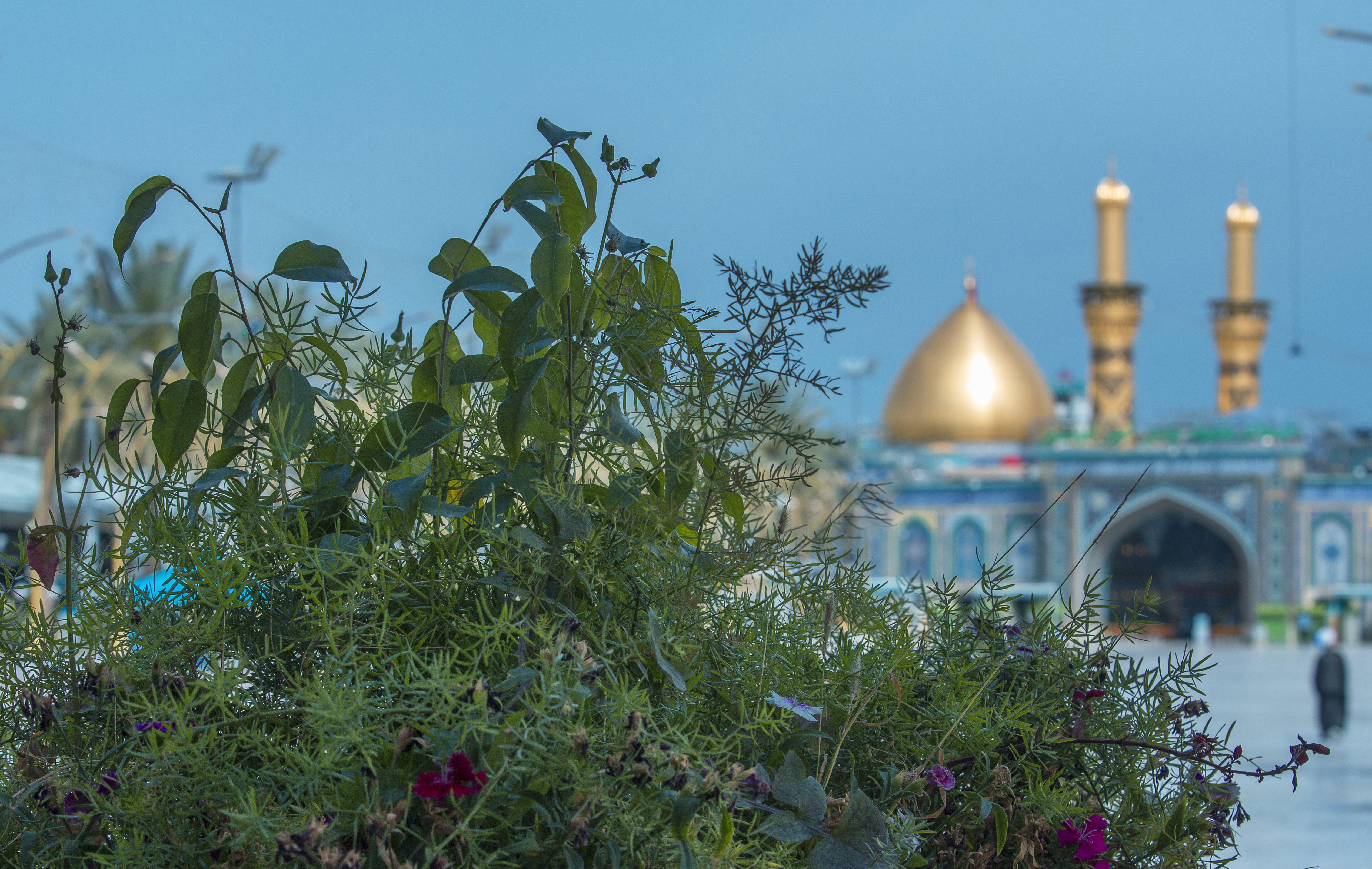 مرقد الامام العباس (عليه السلام)