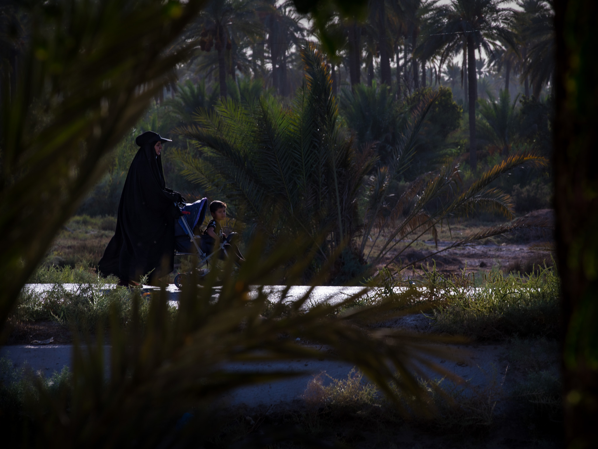 زيارة الأربعين