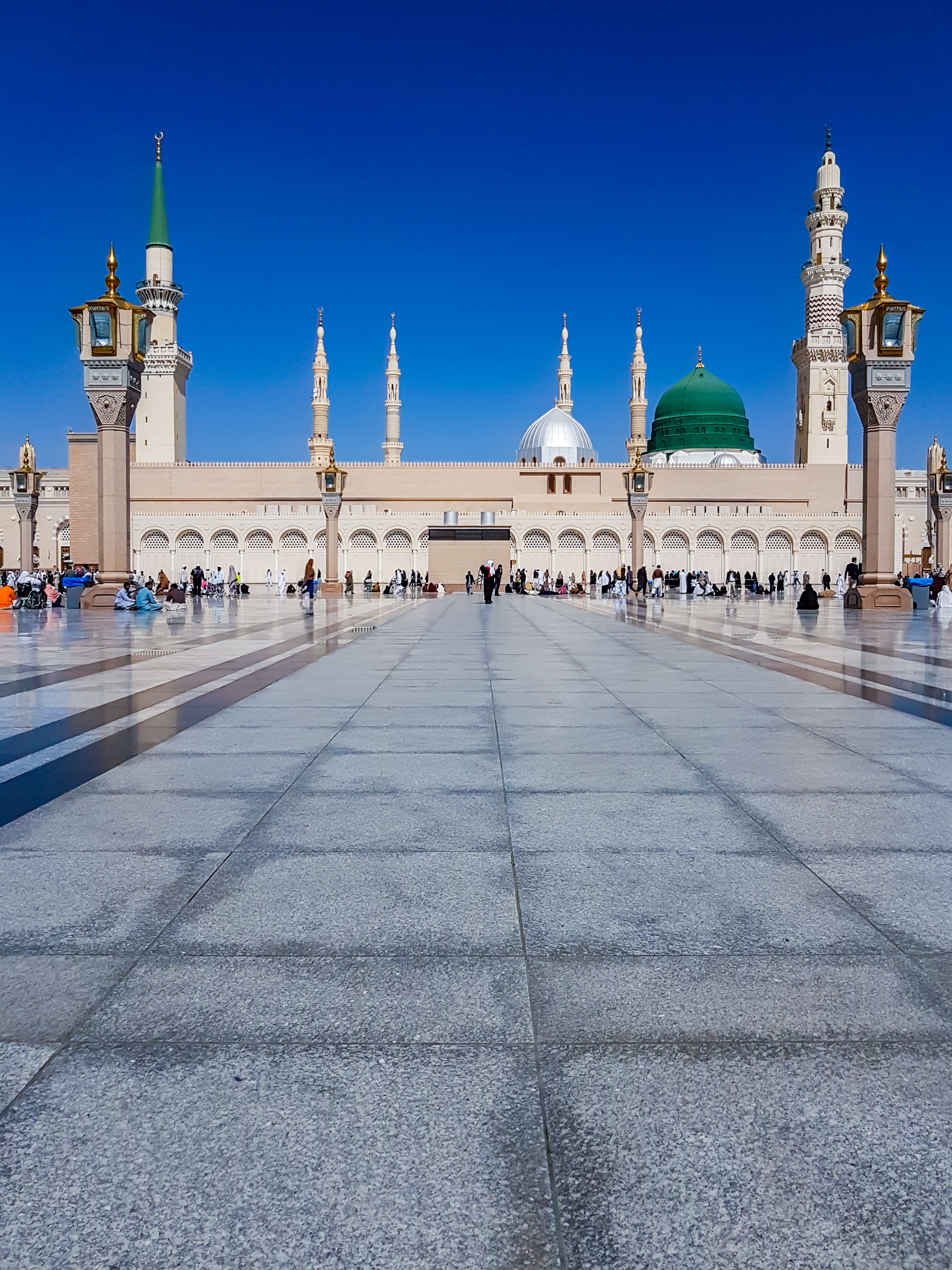 المدينة المنورة