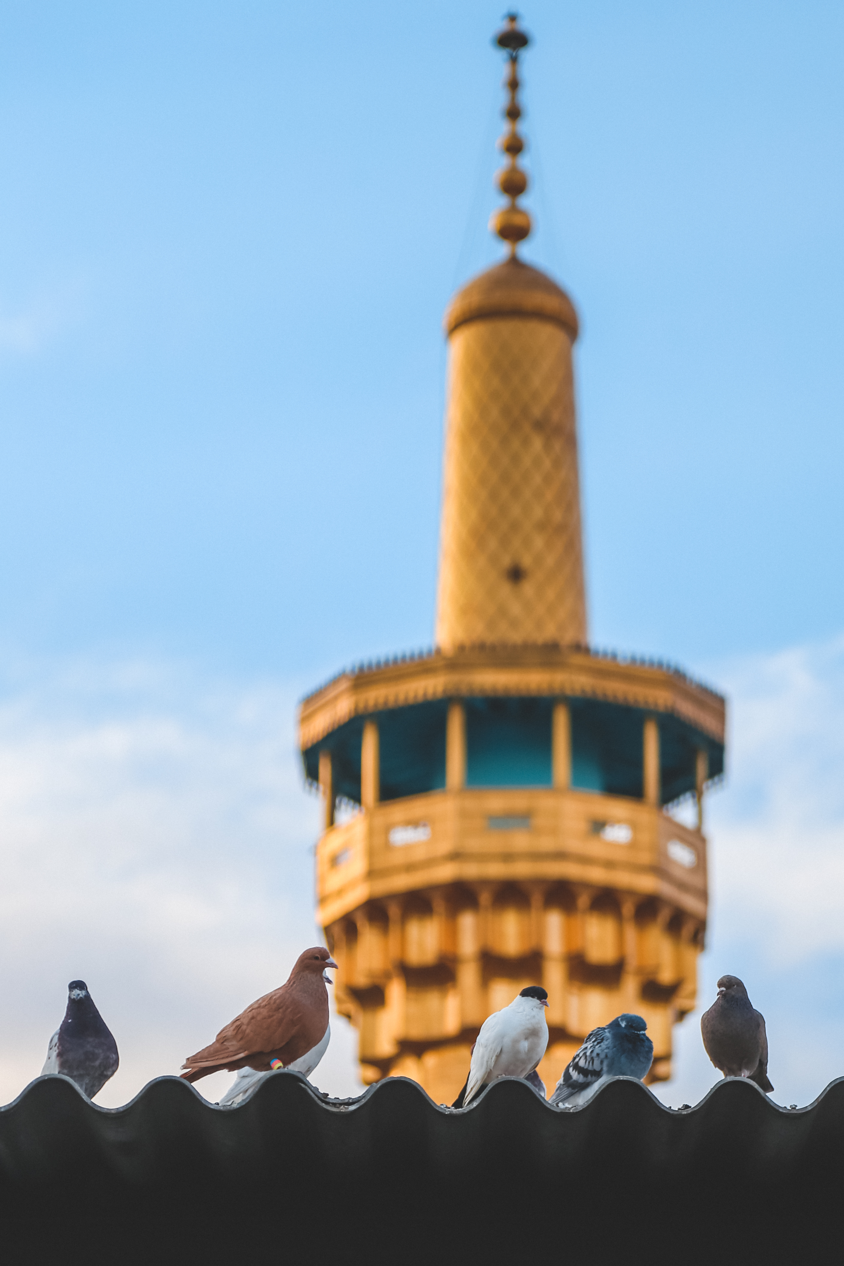 حرم الإمام الرضا عليه السلام