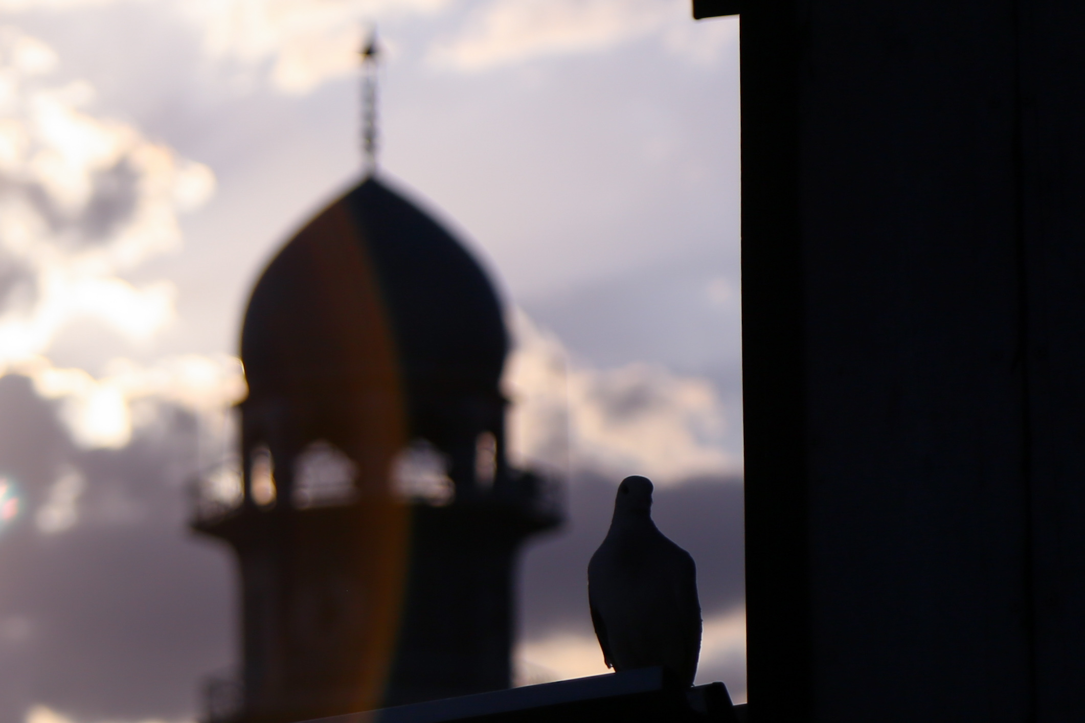 حرم الإمام الرضا عليه السلام