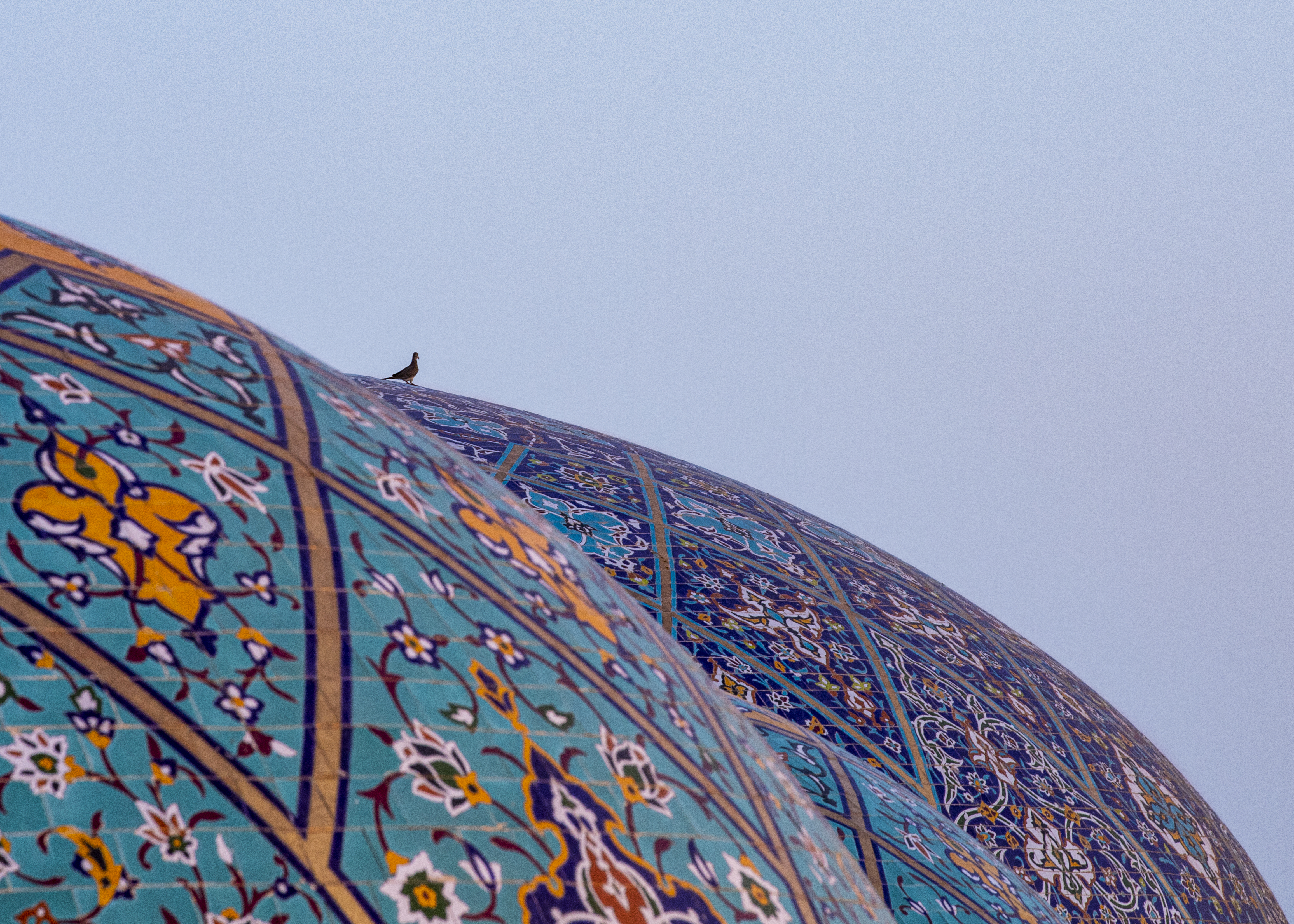 صور متنوعة