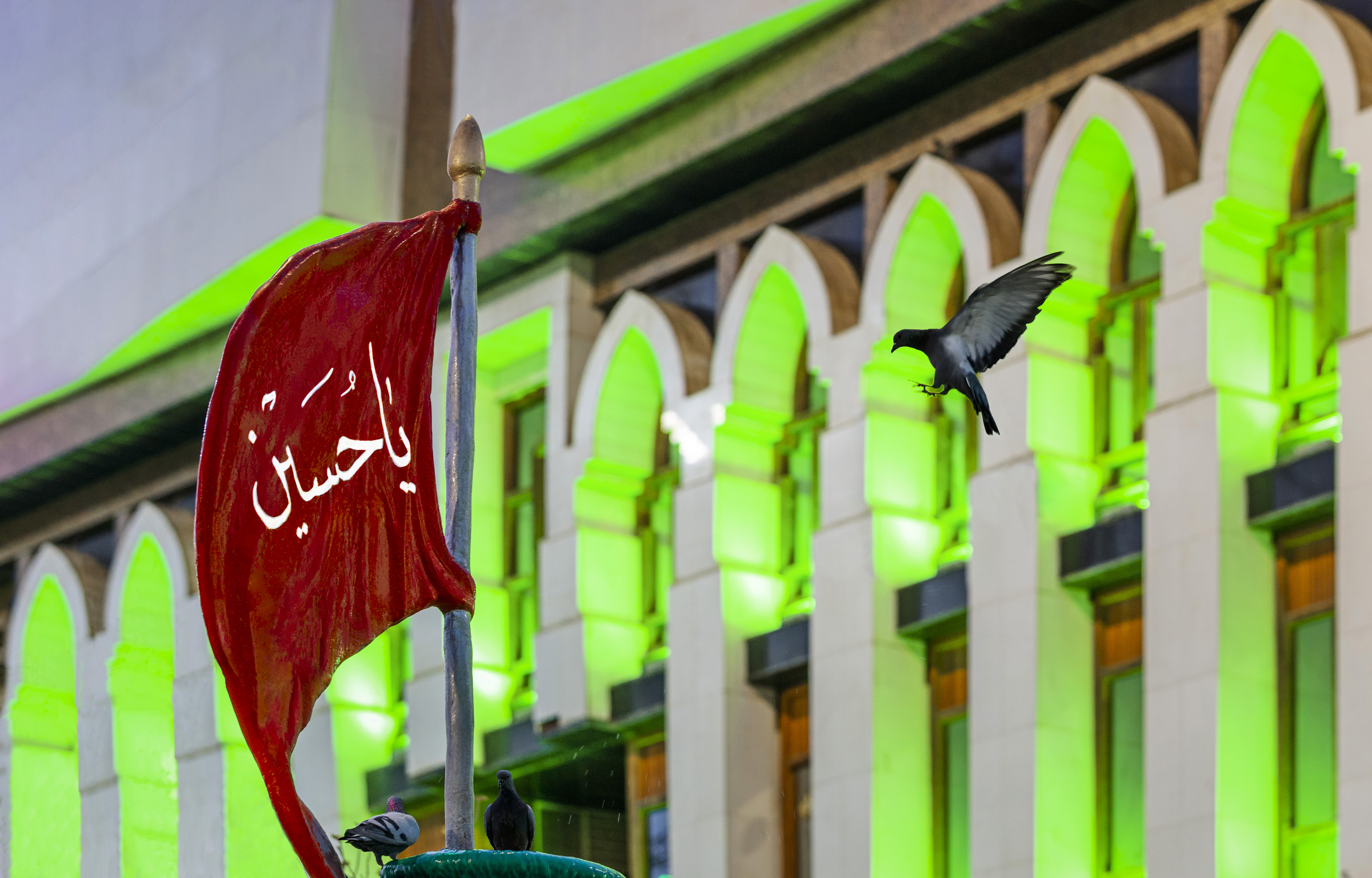 صور متنوعة