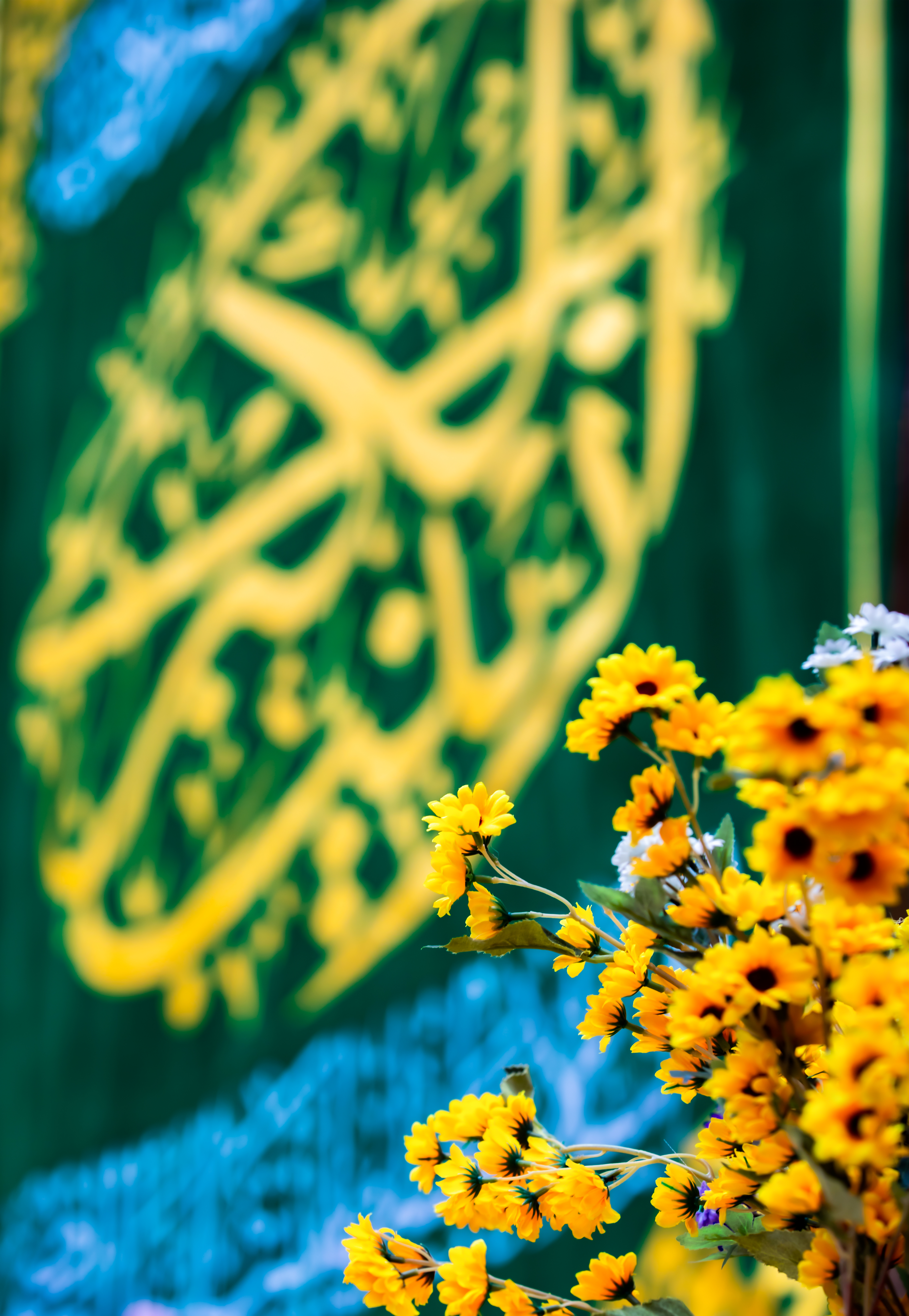 ميلادُ السيدة زينب سلام الله عليها