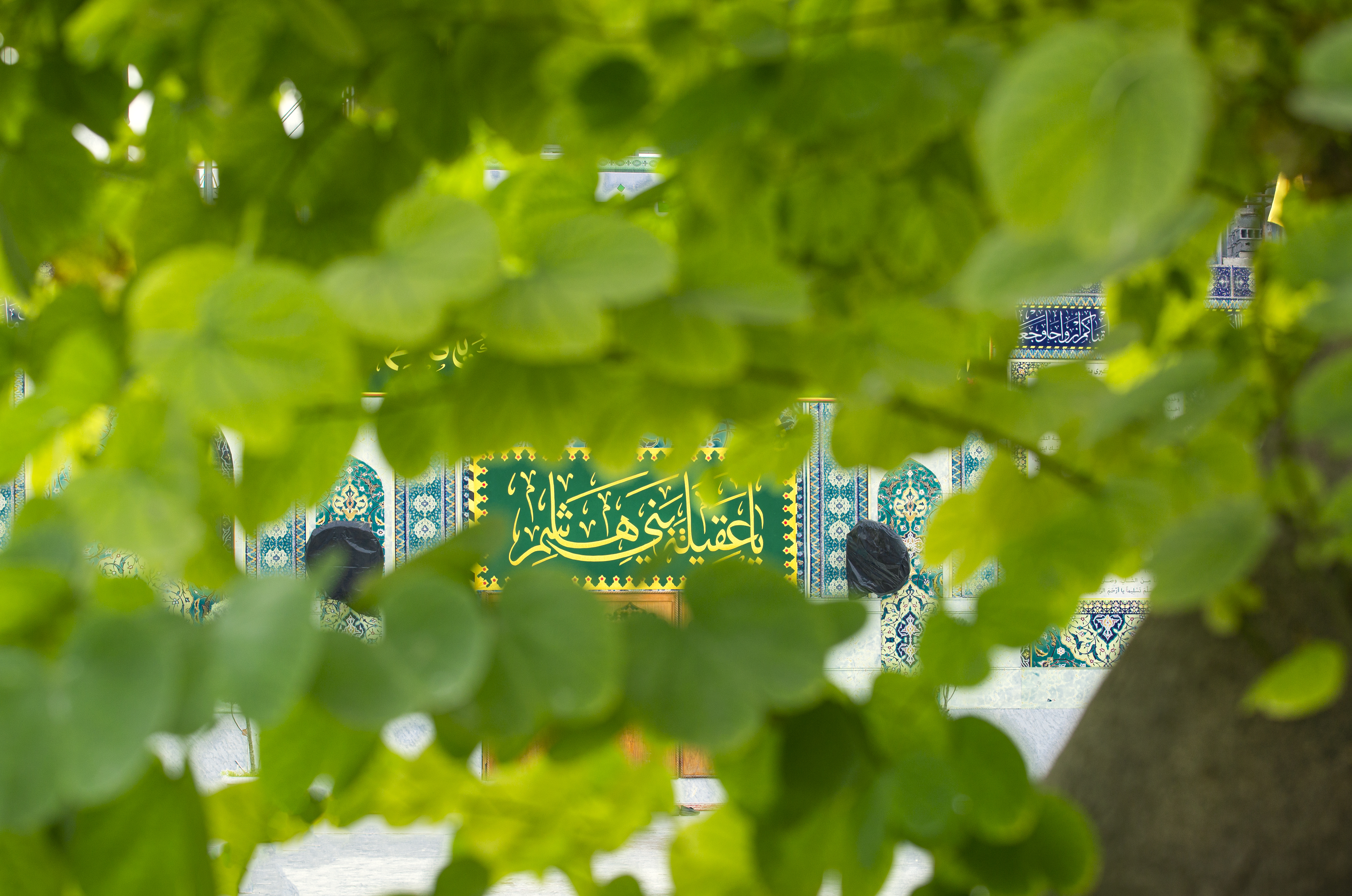 ميلادُ السيدة زينب سلام الله عليها