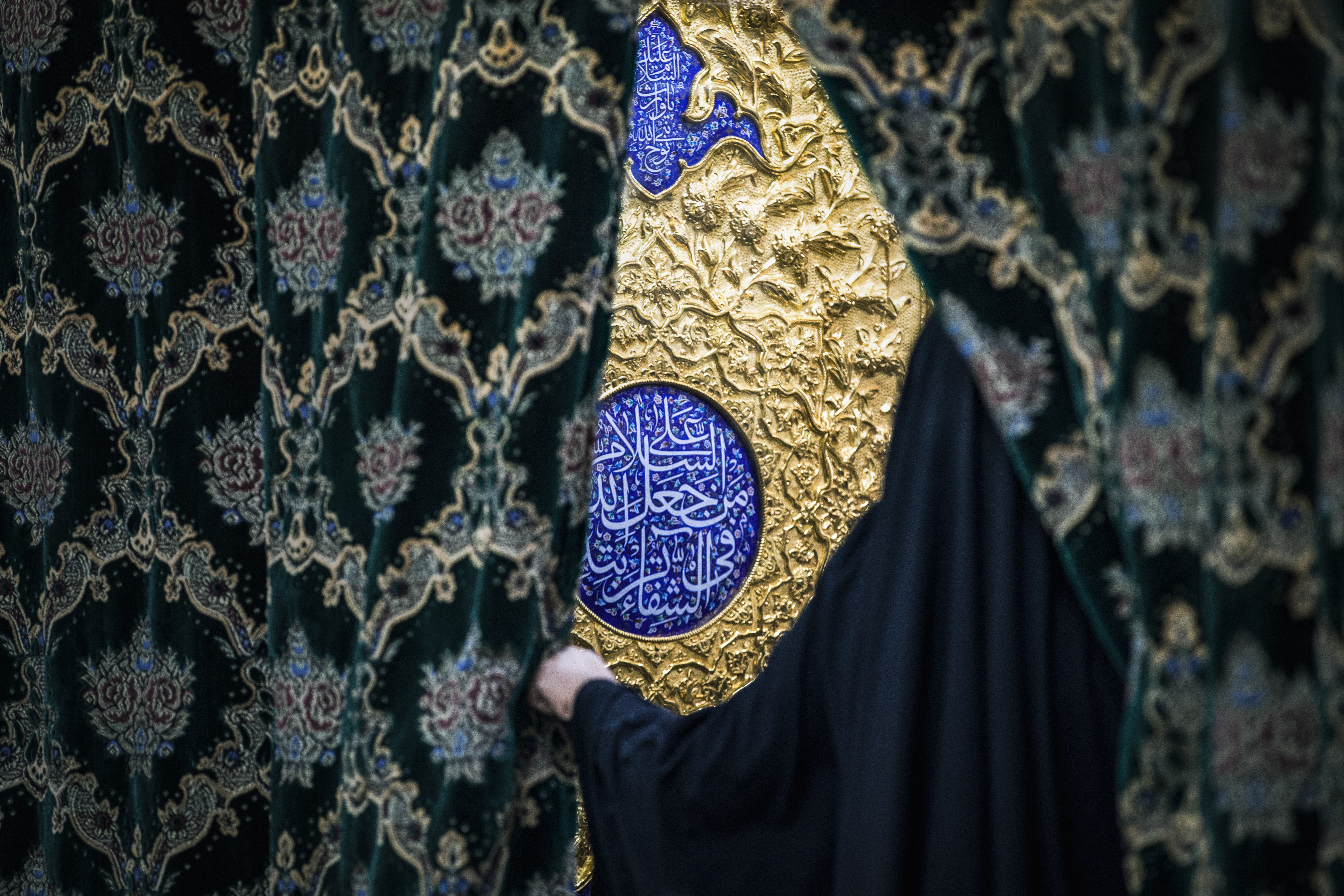 السلام على من جعل الله الشفاء في تربته