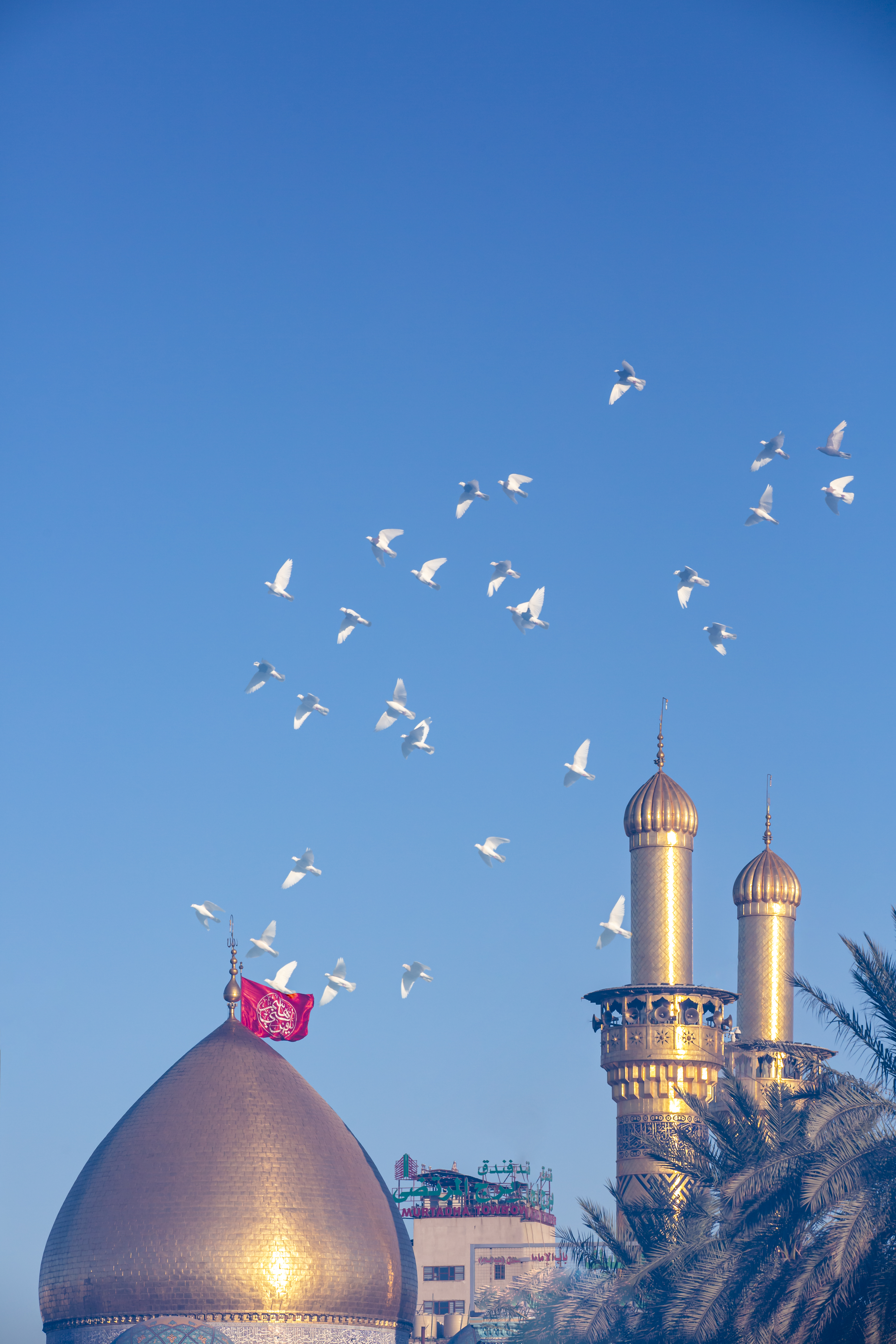 قبة أبي الفضل العباس سلام الله عليه