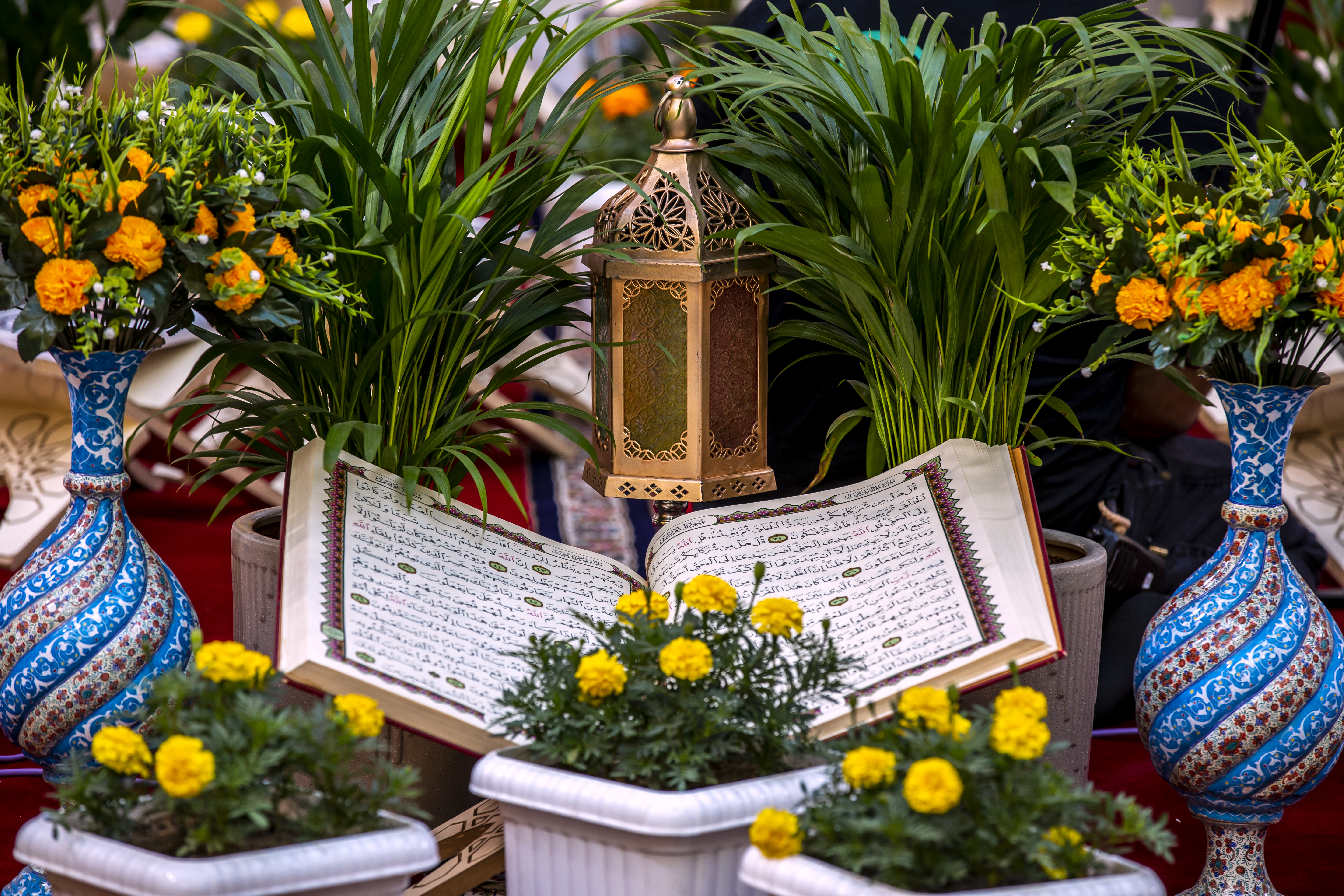 صور عامة