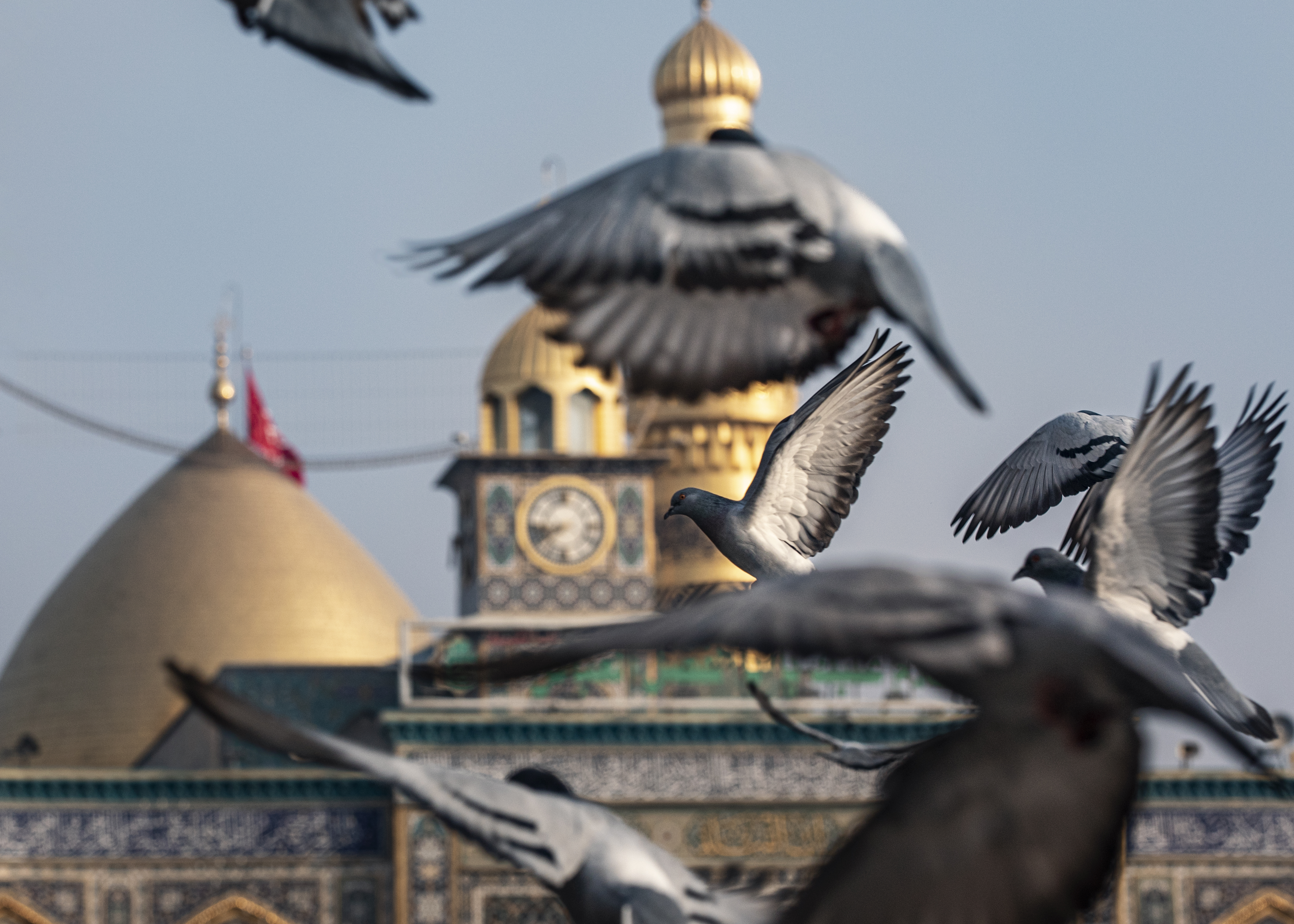 حرم أبي الفضل العباس عليه السلام