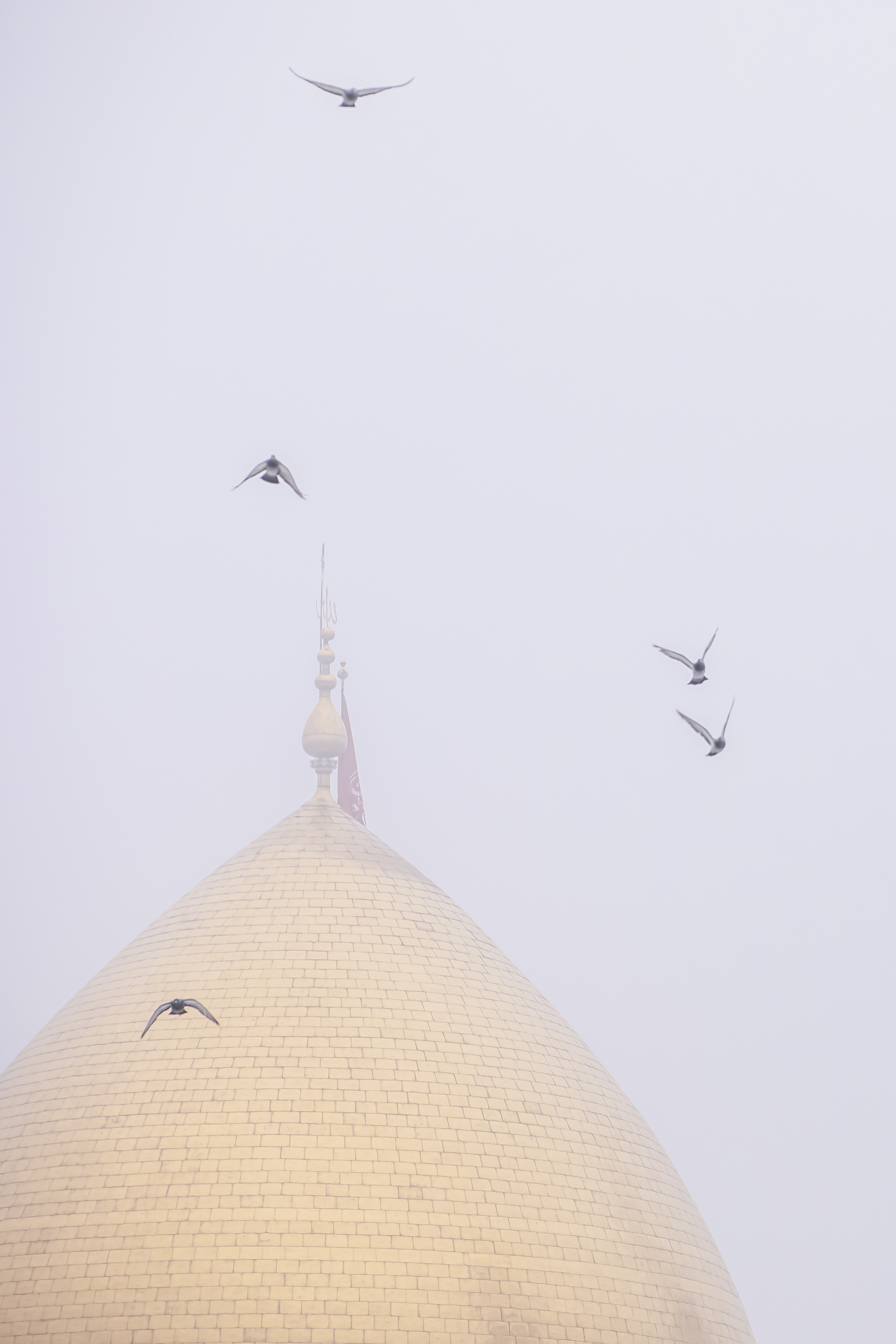قبة حرم أبي الفضل العباس سلام الله عليه