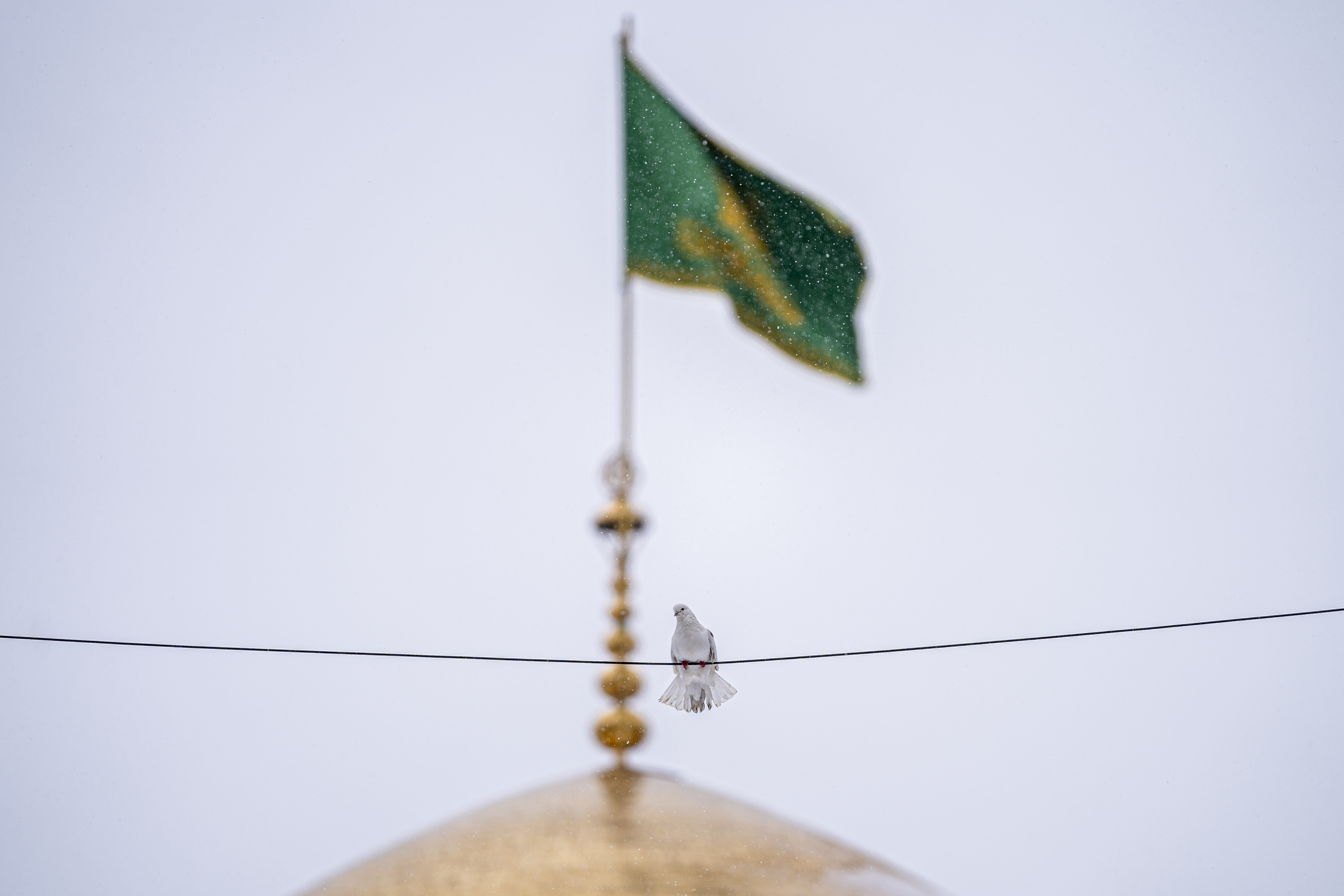 حرم الإمام الرضا
