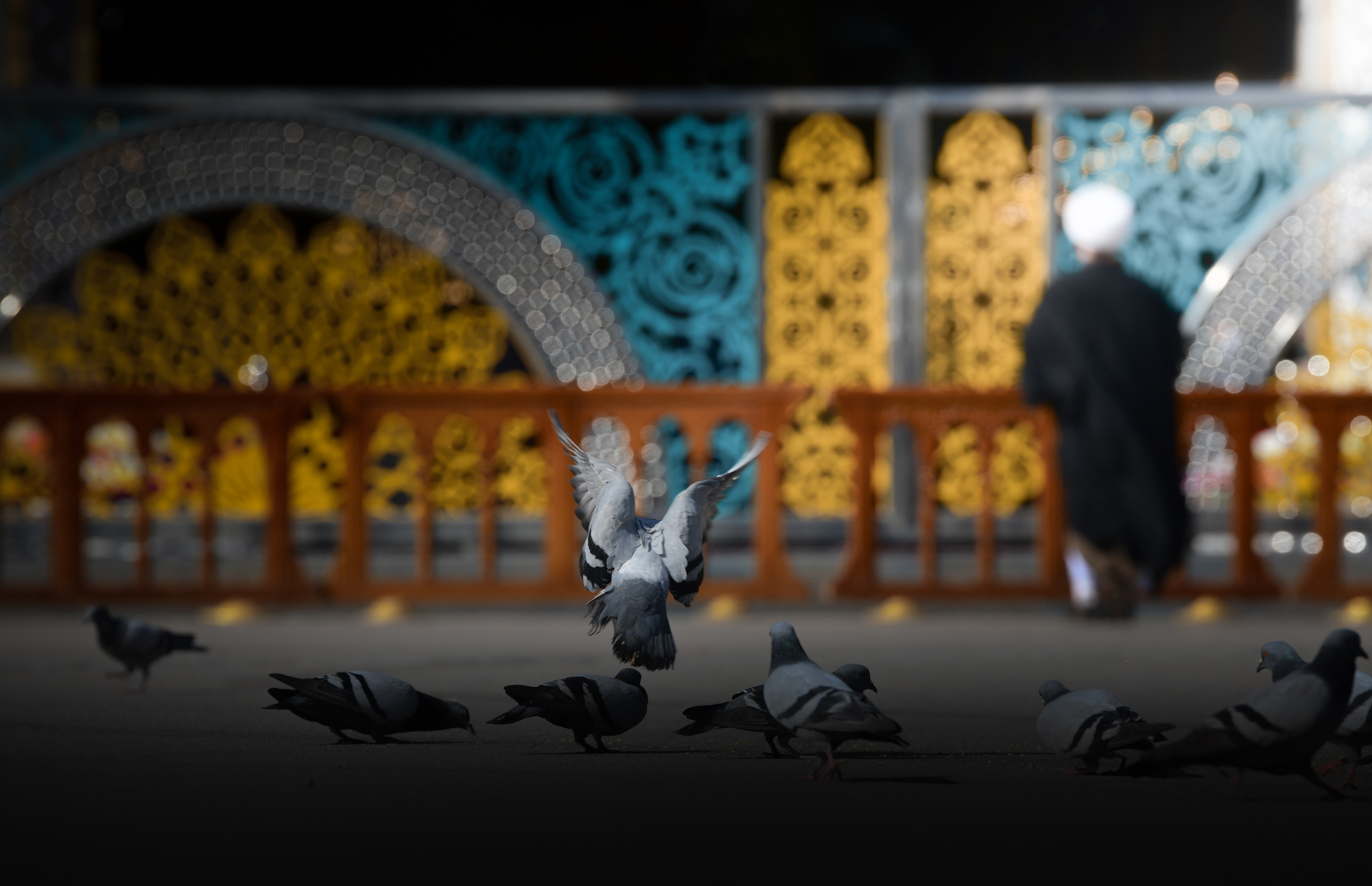 حرم أبي الفضل العباس