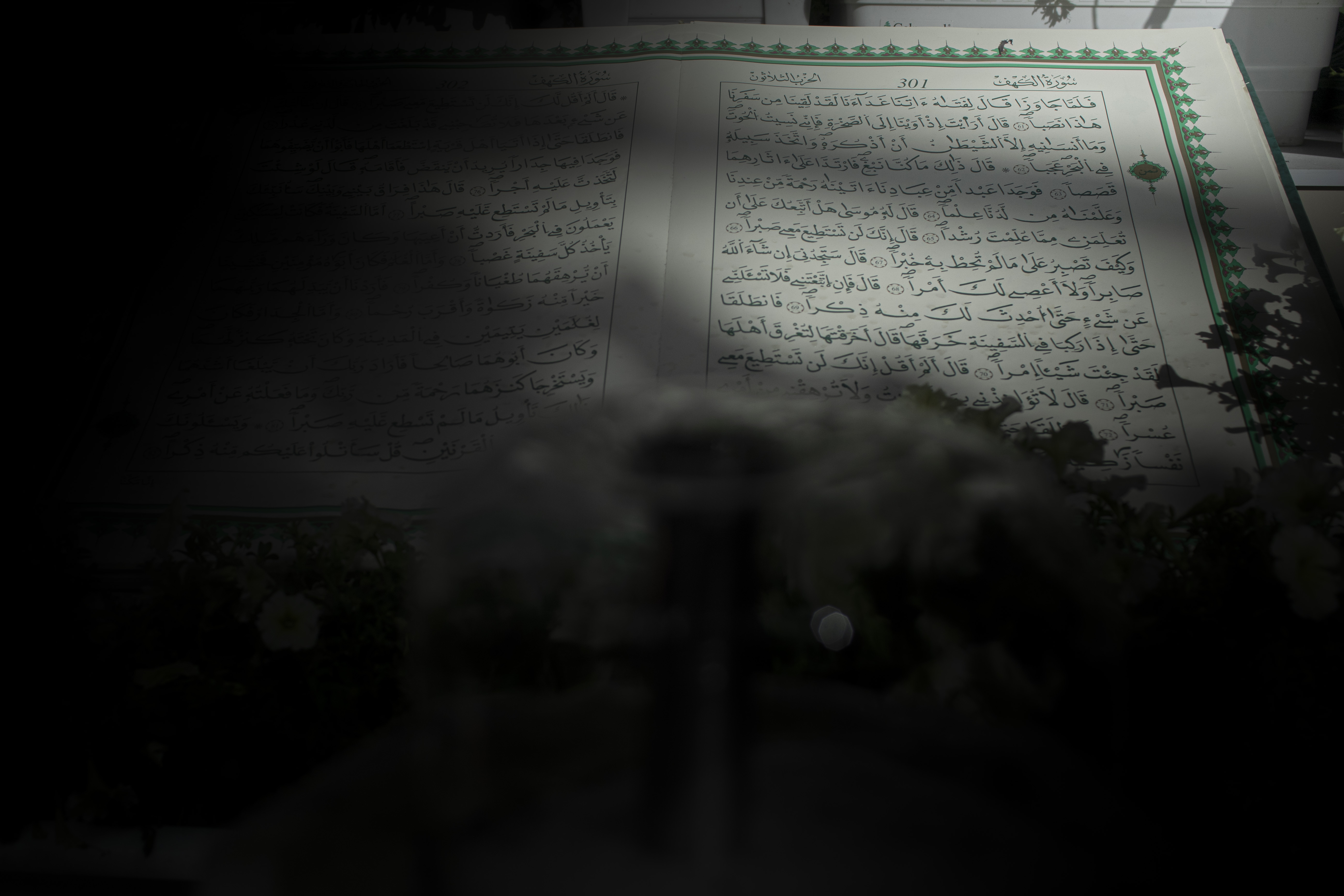 شهر رمضان المبارك