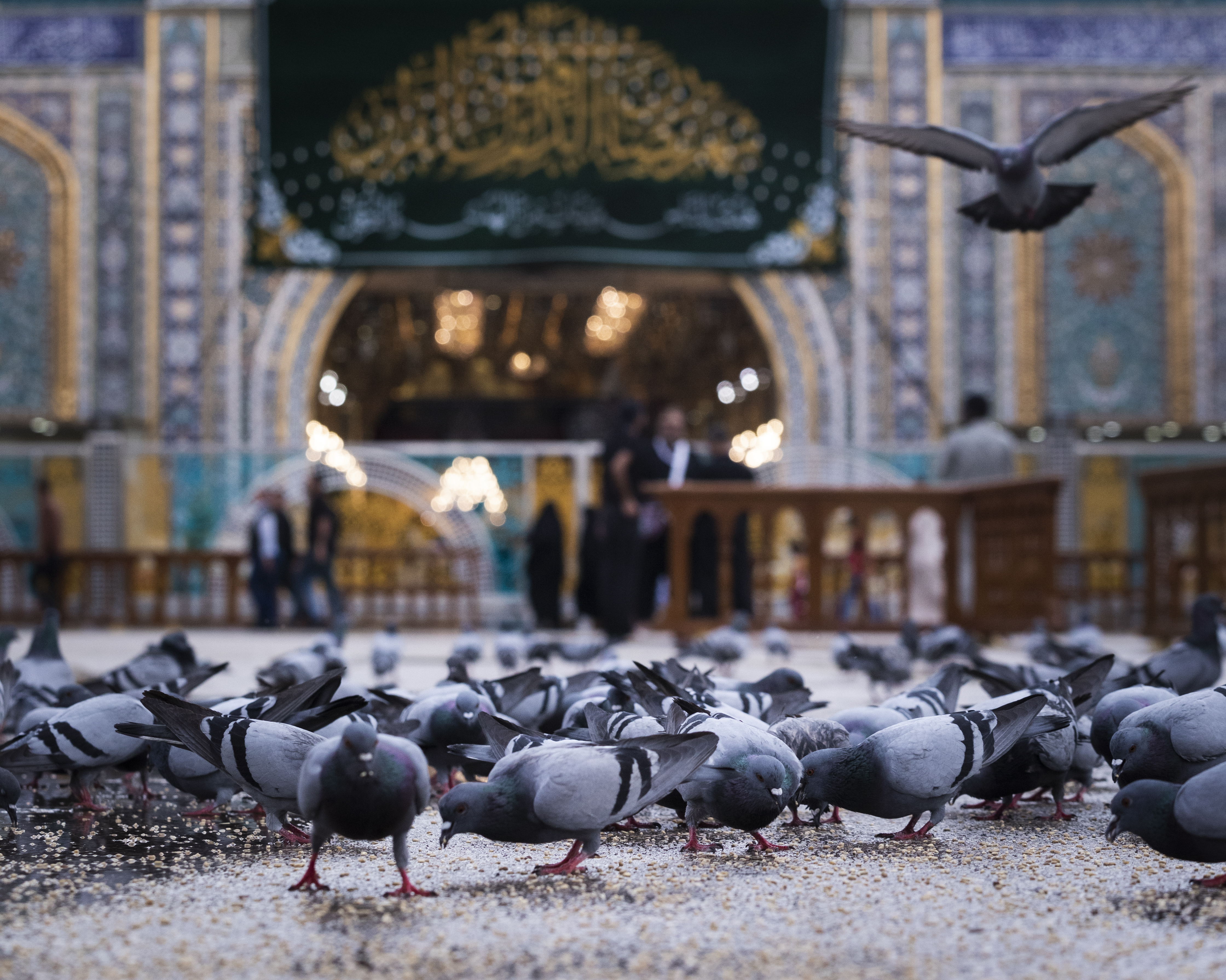 شهر رمضان المبارك