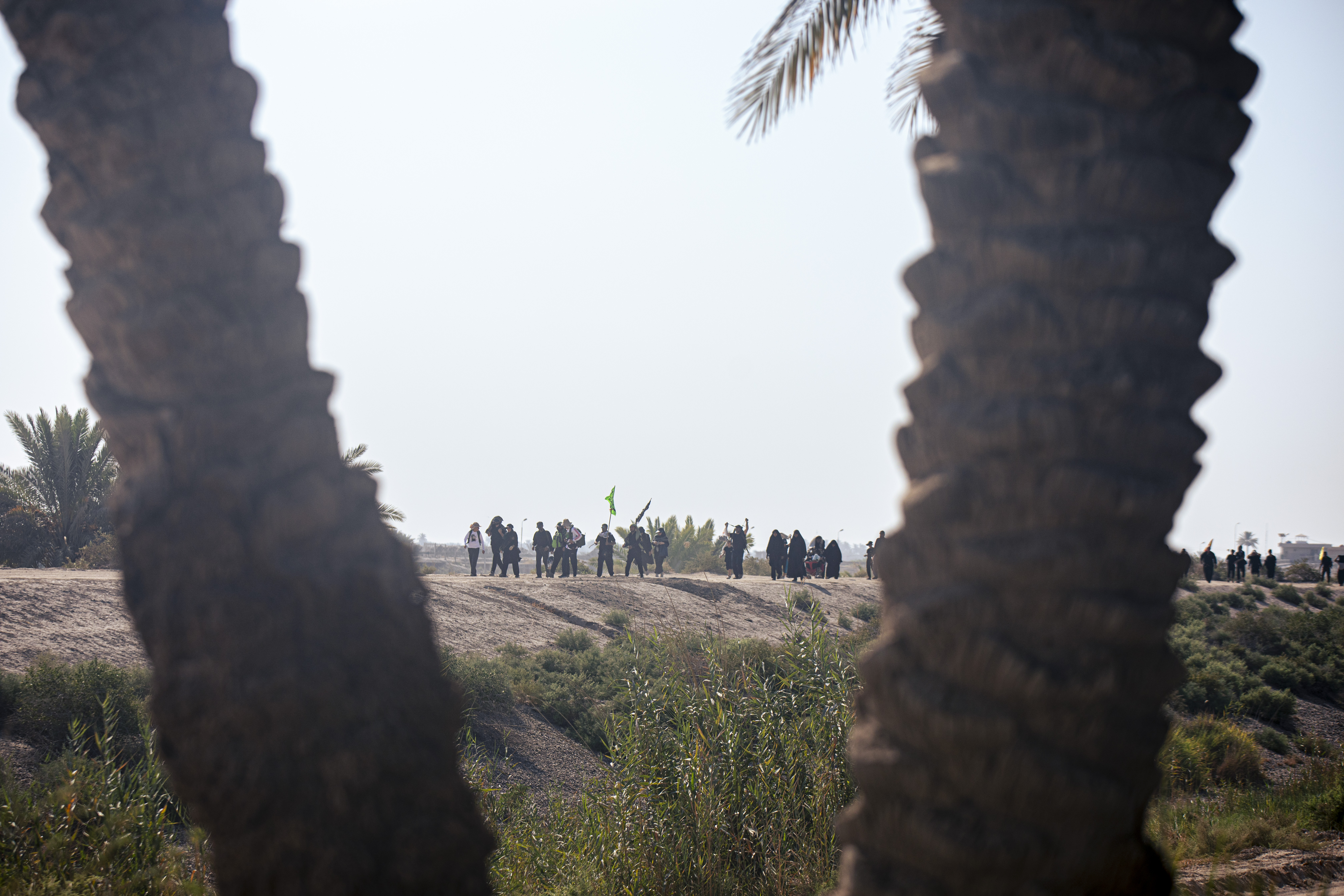 زيارة الأربعين
