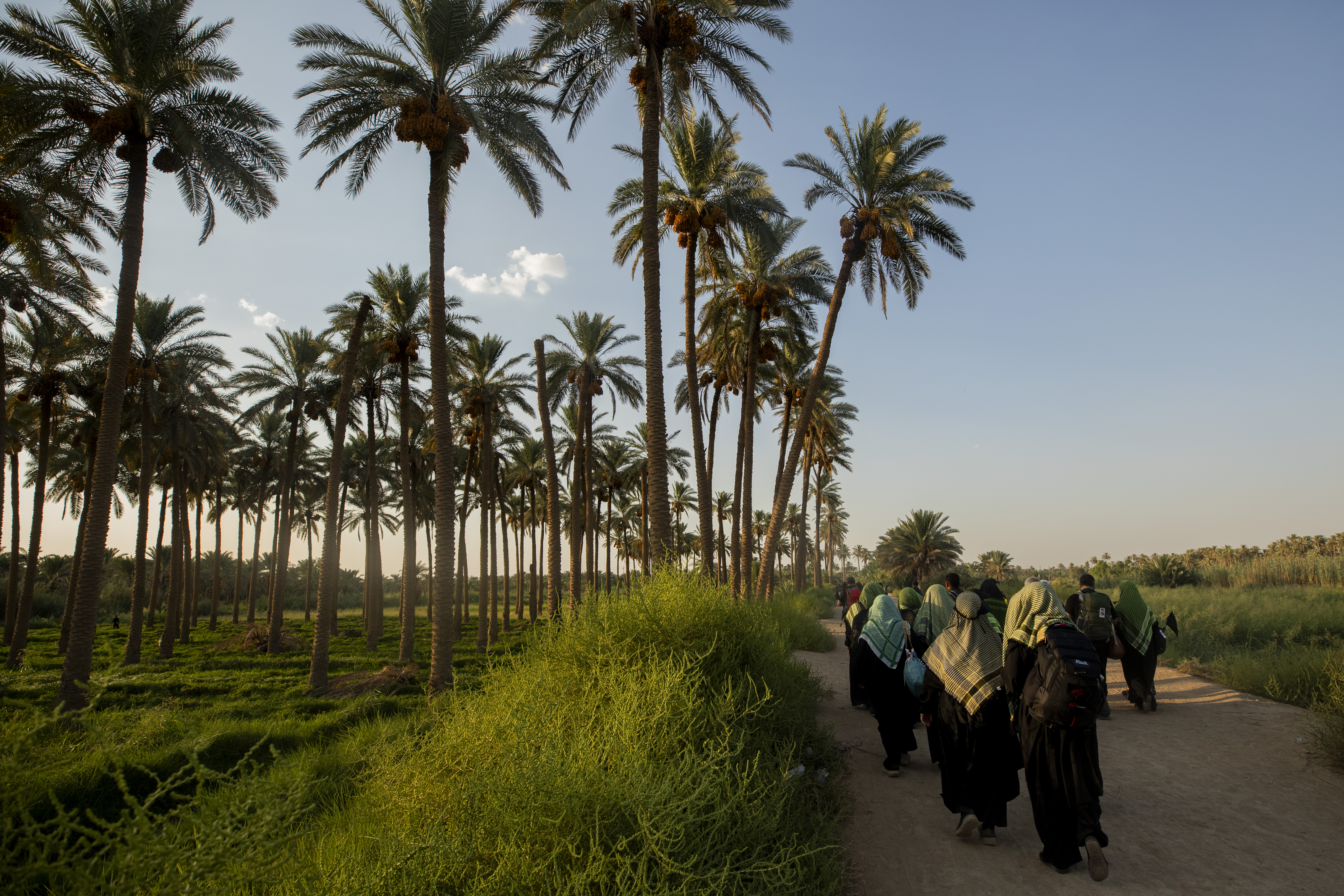 زيارة الأربعين