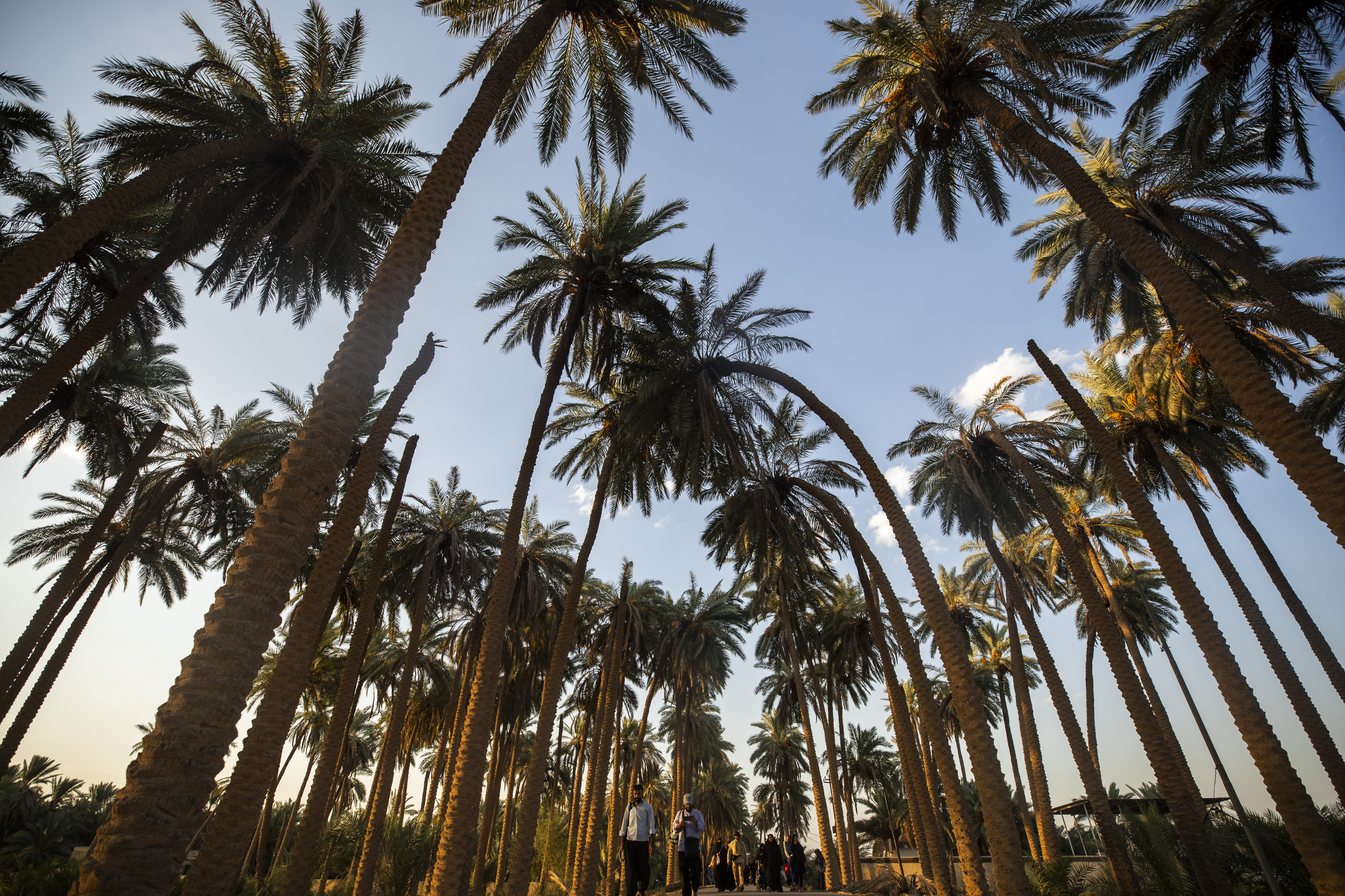 زيارة الأربعين