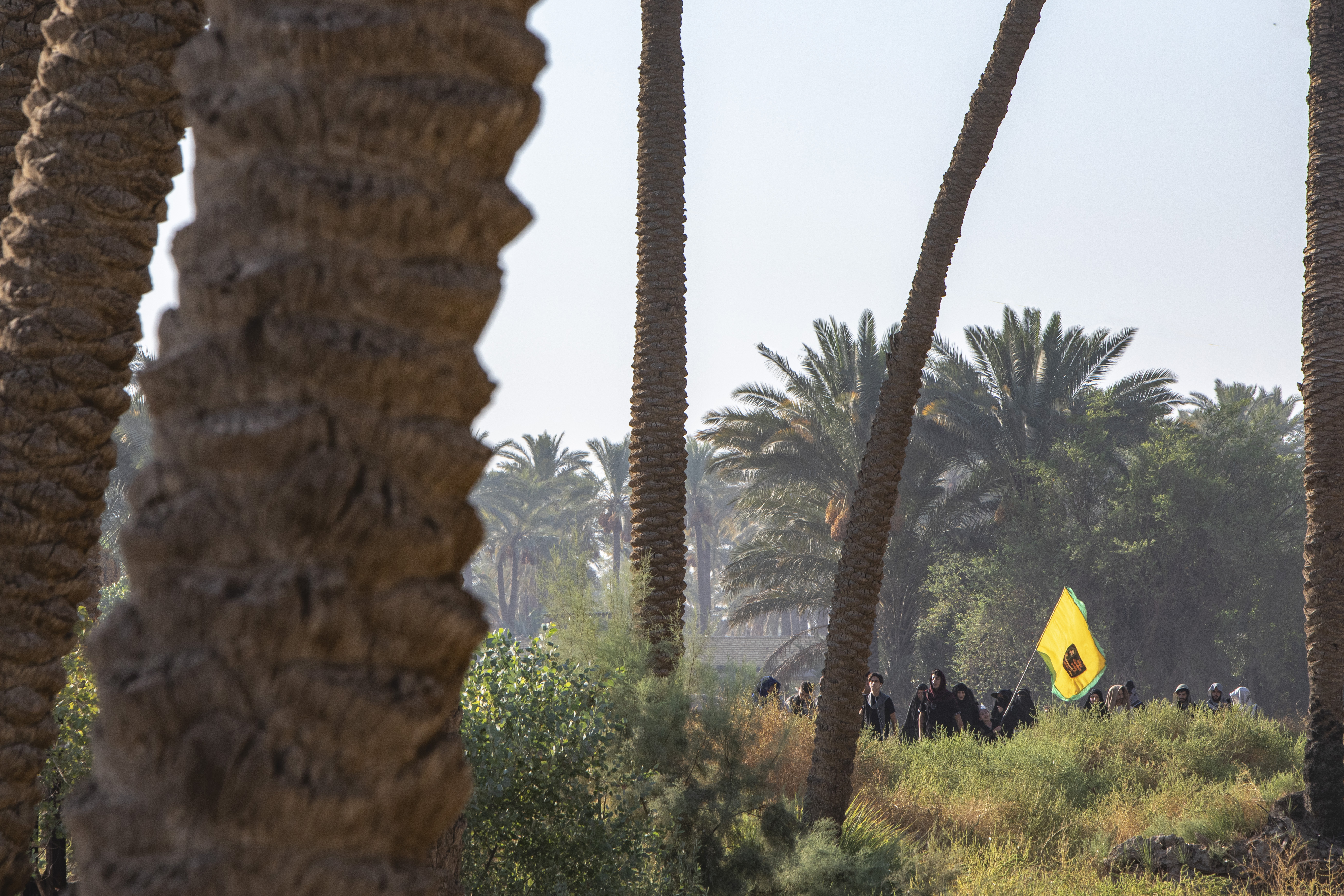 زيارة الأربعين