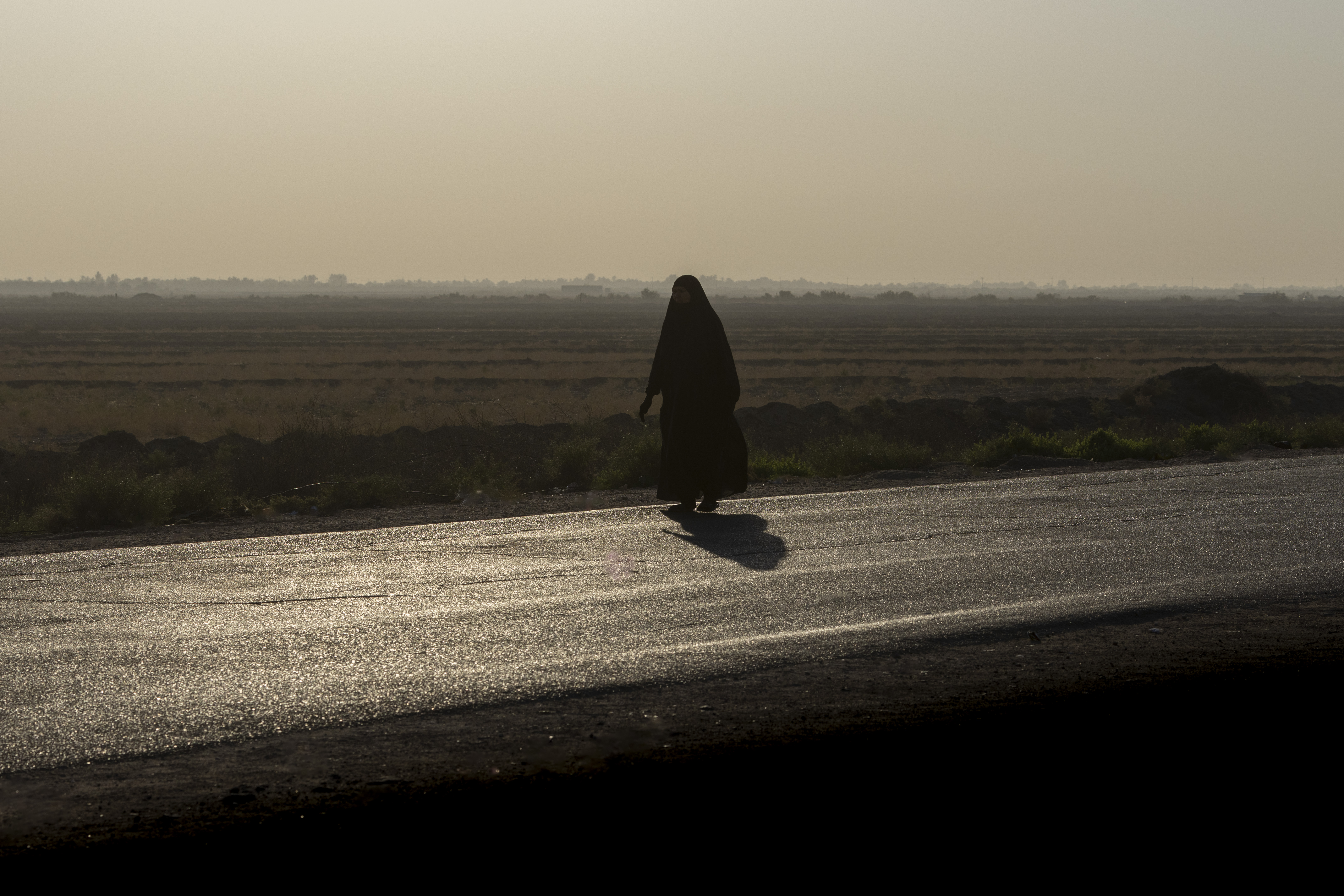 زيارة الأربعين