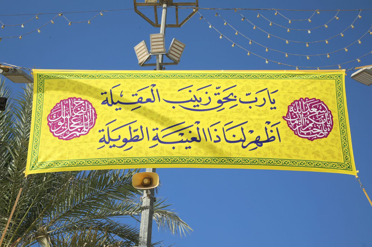 ياعقيلة بني هاشم 