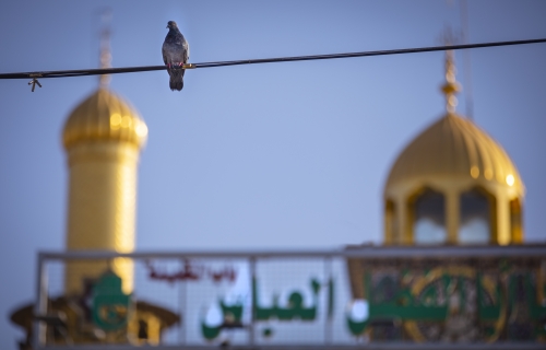 السلام عليك يا أبا الفضل العباس