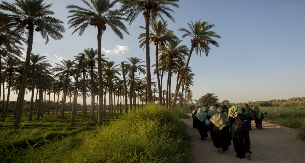 زيارة الأربعين