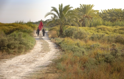 زيارة الأربعين
