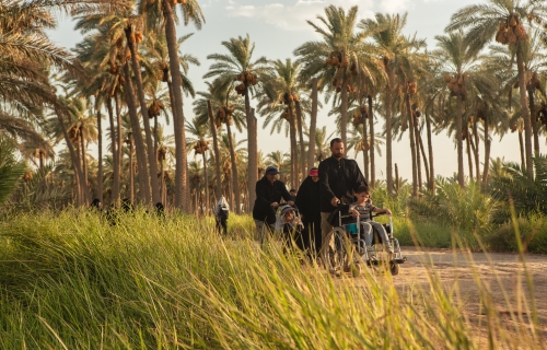 زيارة الأربعين