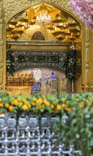 السلام عليك يا أبا الفضل العباس