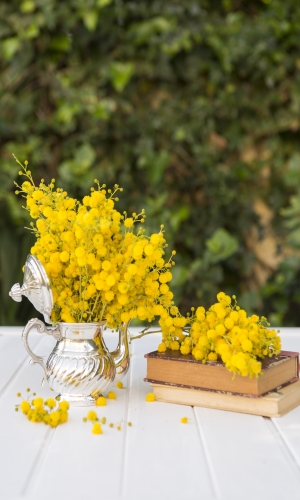 زهور