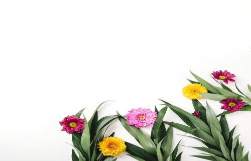 زهور