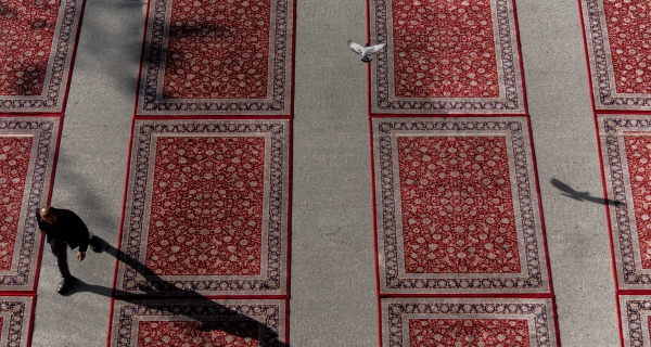 صور متنوعة