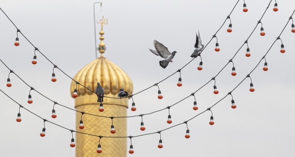 اللهم صل على محمد وآل محمد