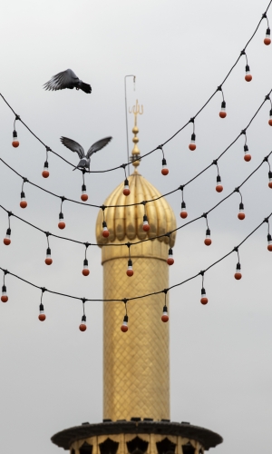 اللهم صل على محمد وآل محمد