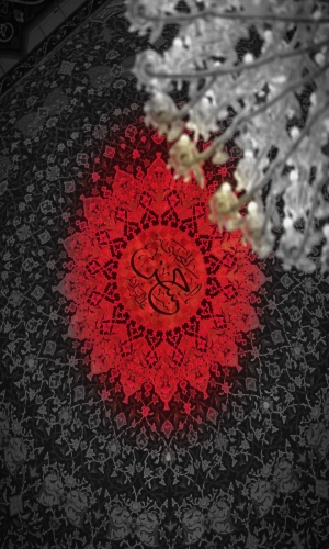 الحسن المجتبى عليه السلام