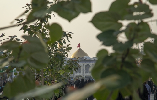 بين الحرمين الشريفين