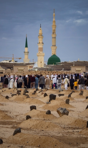 المدينة المنورة