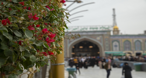 اَلسَّلامُ عَلَيْكَ يَا أَبَا الْفَضْلِ الْعَبَّاسَ 