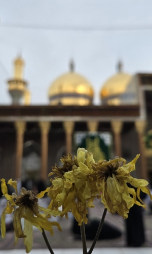  اللهم صل على محمد وآل محمد.