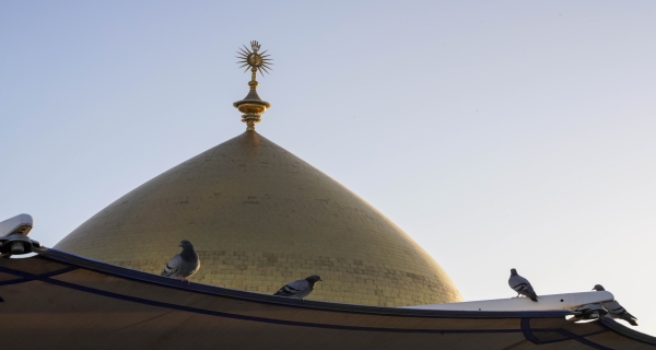 طيور _الحمام مرقد الامام علي (عليه السلام)