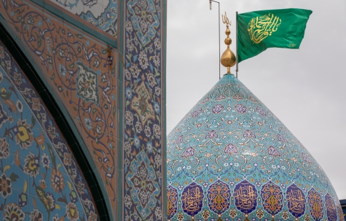 السَّلامُ عَلَيكَ يا حُجَّةَ اللهِ وَدَلِيلَ إرادَتِهِ